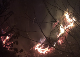 Rozsáhlý požár vojenského prostoru Libavá na Olomoucku