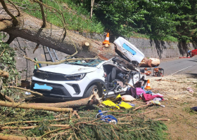 Tři lidé zemřeli po pádu stromu na auto v Krkonoších. Byl totálně ztrouchnivělý