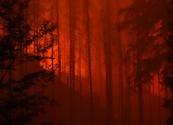 požár v Hřensku