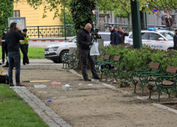 Vražda ženy v Plzni