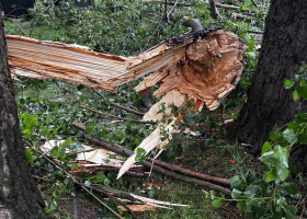 Spadlý strom v Praze zranil dvě osoby, jednu vážně